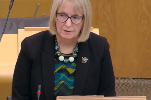 Beatrice Wishart MSP in the Holyrood debating chamber