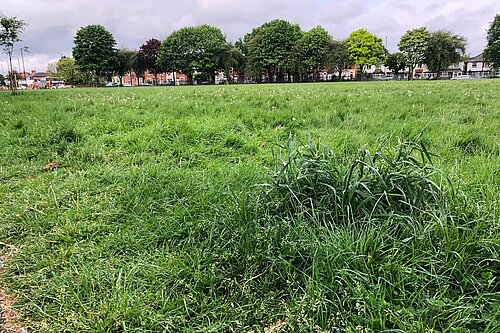 Acocks Green Recreational Ground