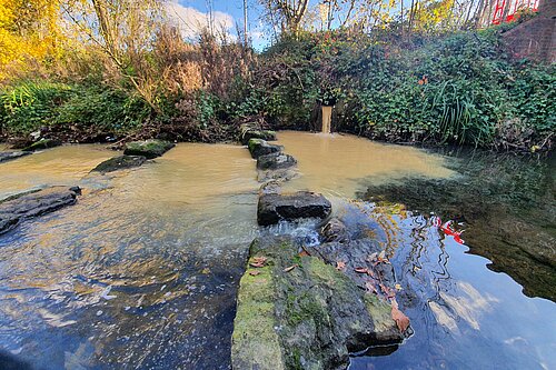 Illustrating polluted waterways 