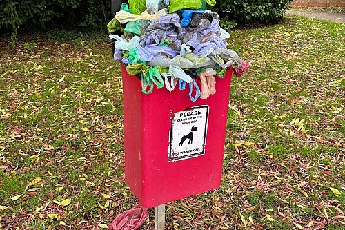 Overflowing dog waste bin in De Parys ward