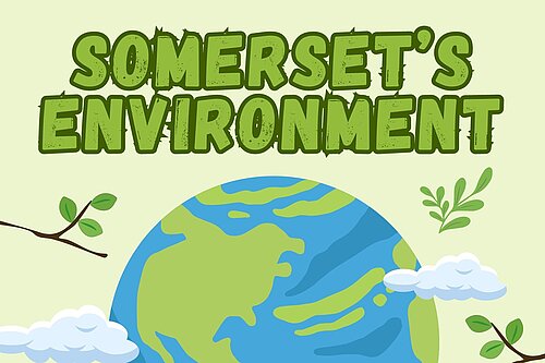 Somerset's Environment Poster