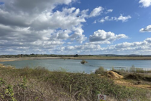 Grovebury Quarry